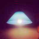 Ambor的个人资料头像