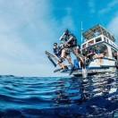 卖烤肉的老爷爷的个人资料头像