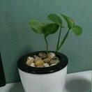 摩羯座的阿亮的个人资料头像