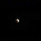 Lvmedder的个人资料头像