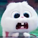 JOKER不想说话55280的个人资料头像