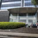 发光如星的个人资料头像