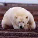 曹宇的个人资料头像