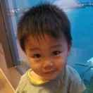 谢智的个人资料头像