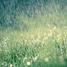 沐雨轩的个人资料头像