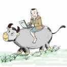 放牛娃同志的个人资料头像