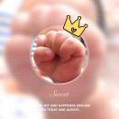 迈克猪的个人资料头像