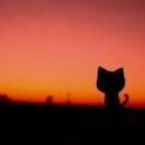 LYong的个人资料头像