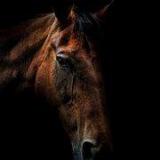 WayneY的个人资料头像