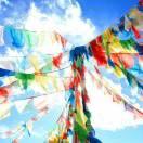 ants55510的个人资料头像