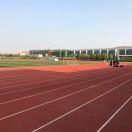 阿大是阳光的个人资料头像