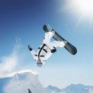 骑士归来同志的个人资料头像