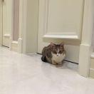 打酱油的黄子豪的个人资料头像