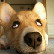 喂你的节操落了的个人资料头像