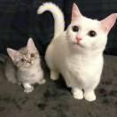 Whale同志的个人资料头像