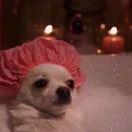 CTN的个人资料头像