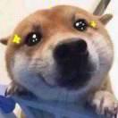 _同学55614的个人资料头像