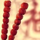 ball55710的个人资料头像