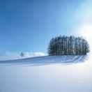 风吹少年的个人资料头像