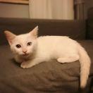 守懿的个人资料头像