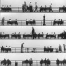 linhj的个人资料头像