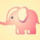 圣象的个人资料头像