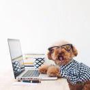 easy同志55778的个人资料头像