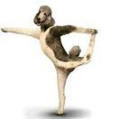 钢铁方脑壳的个人资料头像