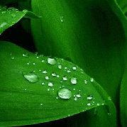 一日光年的个人资料头像