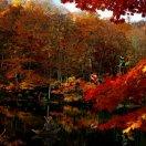 Huitnuage的个人资料头像