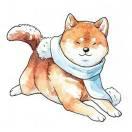 强娃儿的个人资料头像