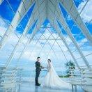 海阔的个人资料头像