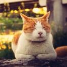 undead55925的个人资料头像