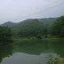 何继胜的个人资料头像