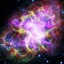 枯藤老树的个人资料头像