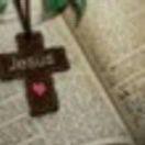 April爱学习55942的个人资料头像