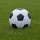 ynstyle的个人资料头像