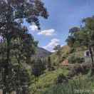 王三的个人资料头像