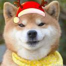 啧啧啧的个人资料头像