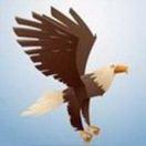 FreeBird的个人资料头像