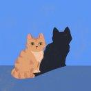 白晨的个人资料头像