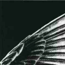 虚无同志56157的个人资料头像