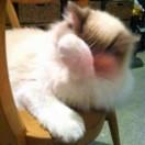 Nathan56207的个人资料头像