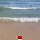 罐子的个人资料头像