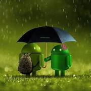 ayin的个人资料头像