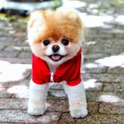 Jarrett56404的个人资料头像