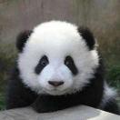 零下一度本尊的个人资料头像