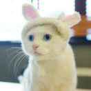 Angus重名了56674的个人资料头像