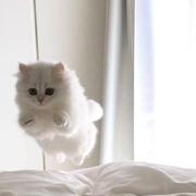 Fnine59的个人资料头像