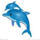 Z_cxy的个人资料头像